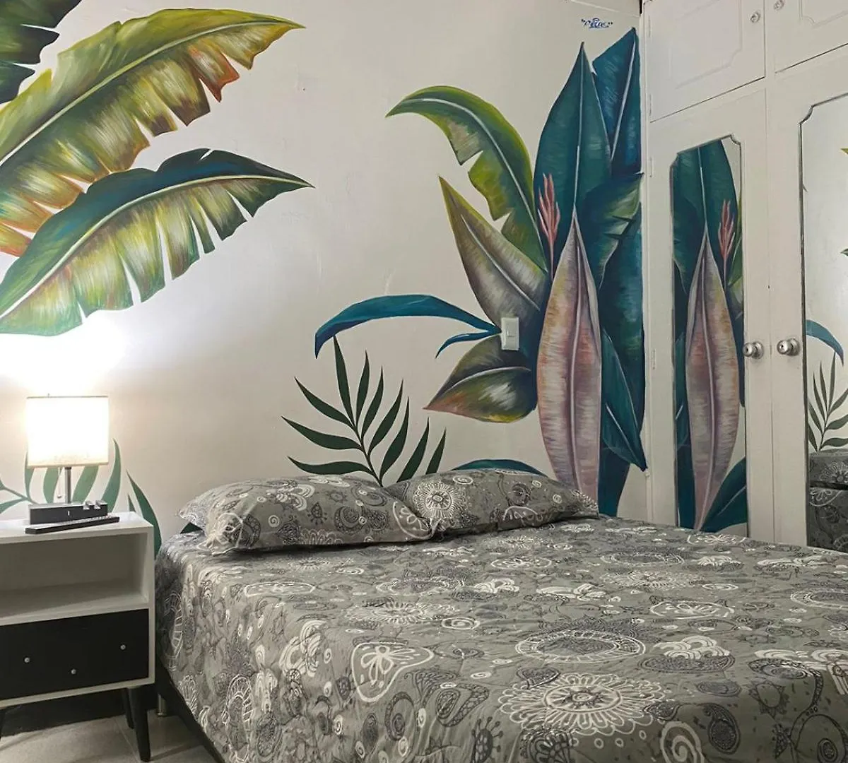 Baku Laureles Hostel Medellín Hôtel capsule